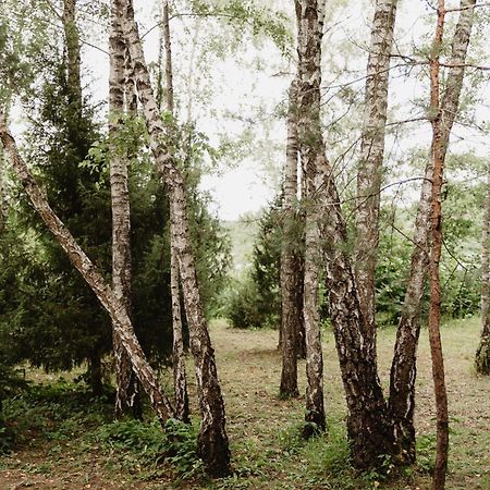 Berzu Namelis - Birch Cabin Kutsyuny Exteriör bild