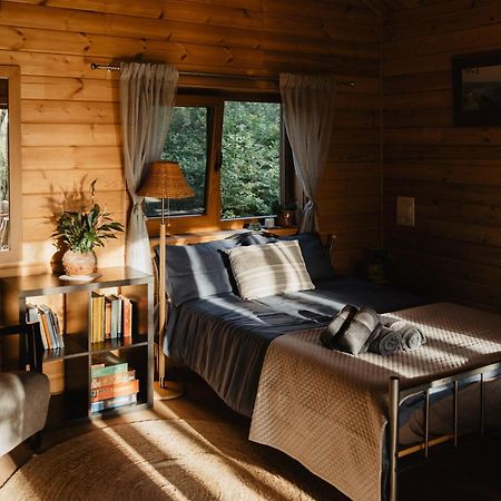Berzu Namelis - Birch Cabin Kutsyuny Exteriör bild