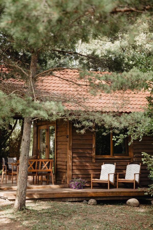 Berzu Namelis - Birch Cabin Kutsyuny Exteriör bild