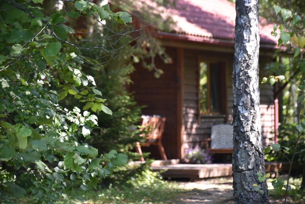 Berzu Namelis - Birch Cabin Kutsyuny Exteriör bild