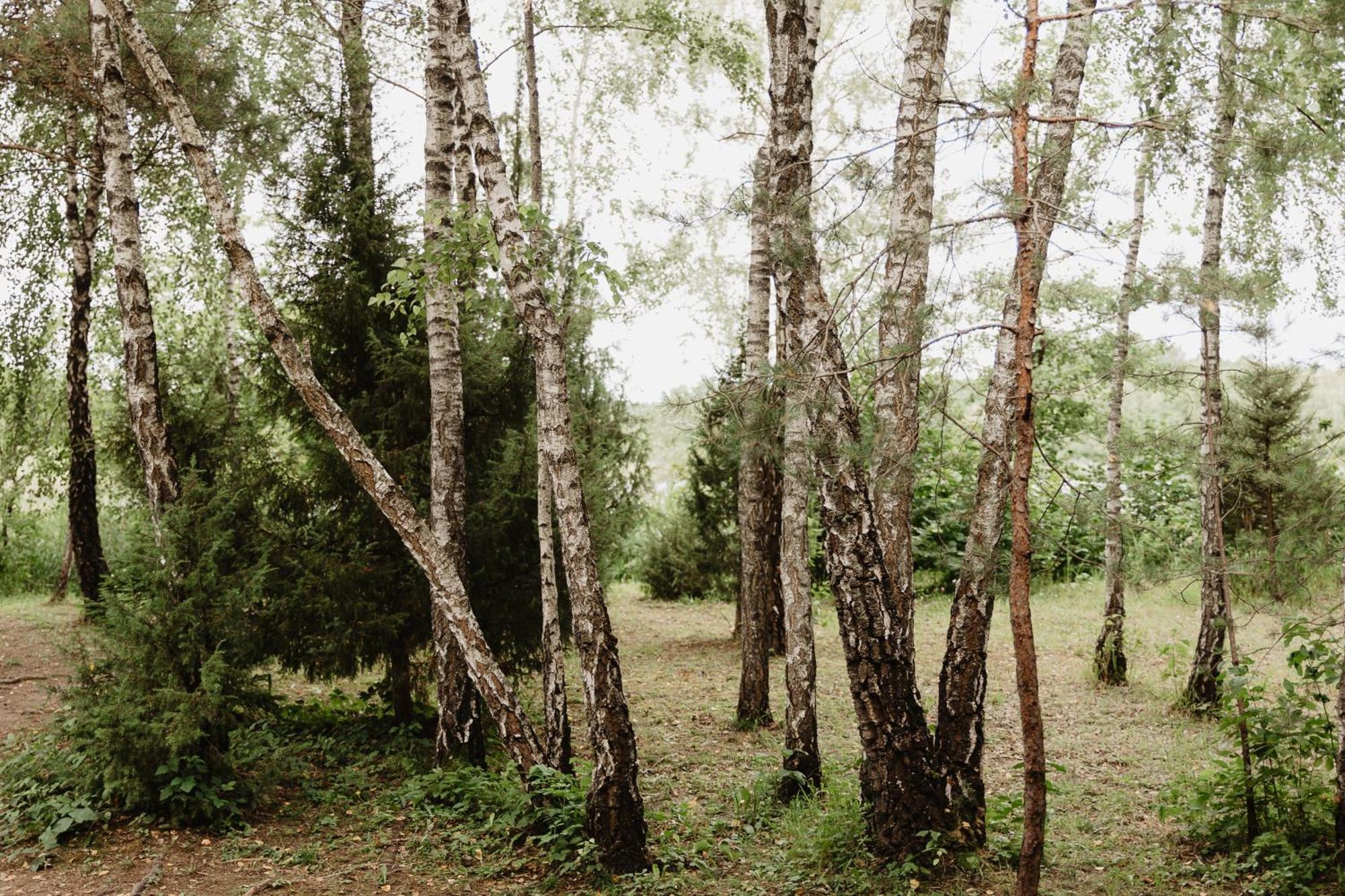 Berzu Namelis - Birch Cabin Kutsyuny Exteriör bild