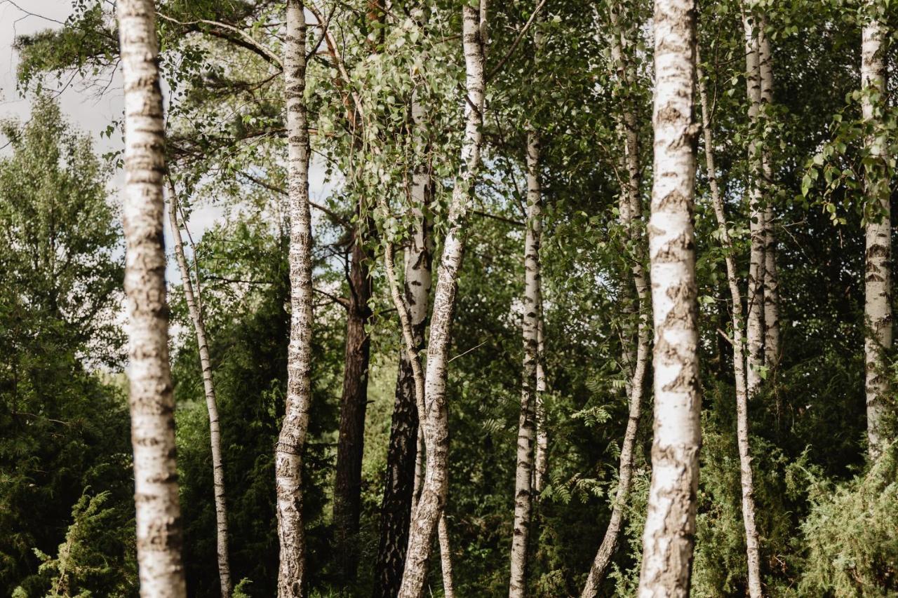 Berzu Namelis - Birch Cabin Kutsyuny Exteriör bild