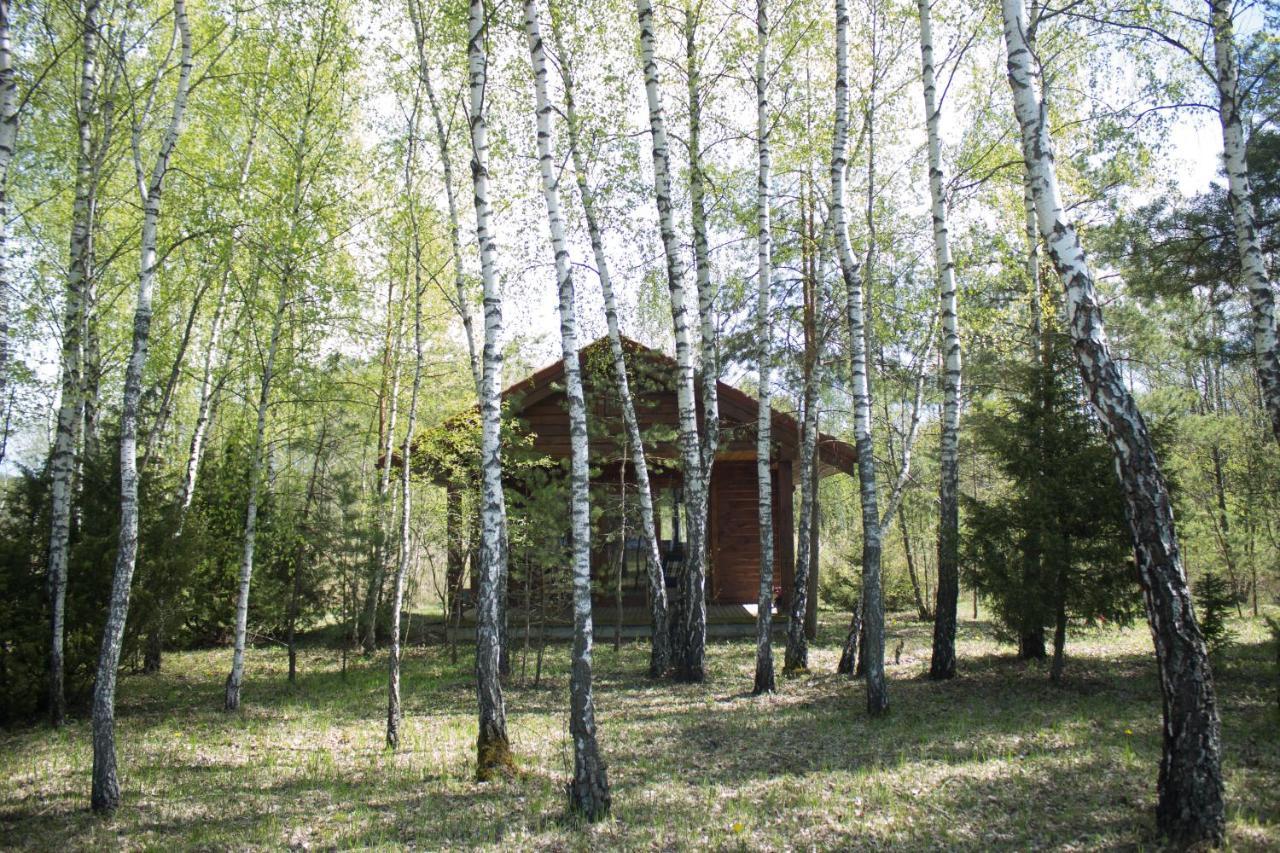 Berzu Namelis - Birch Cabin Kutsyuny Exteriör bild